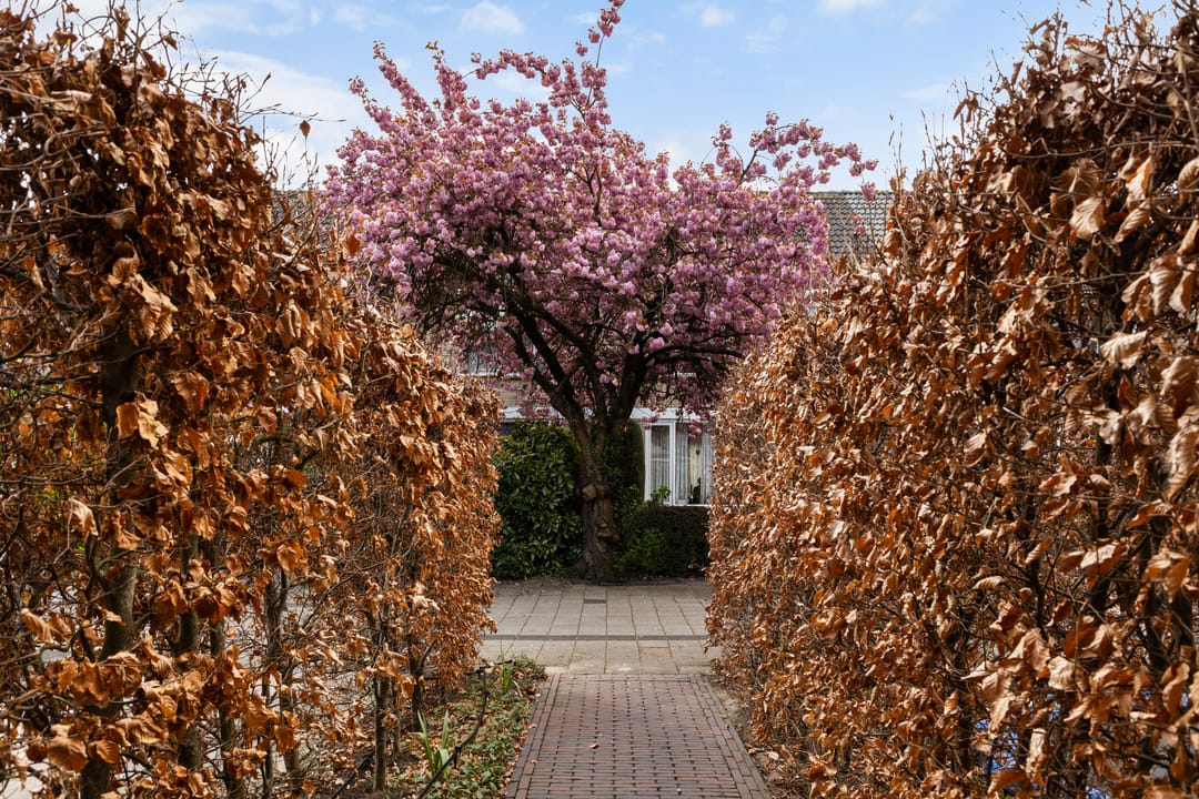 Photo 56 of Beneluxlaan 184