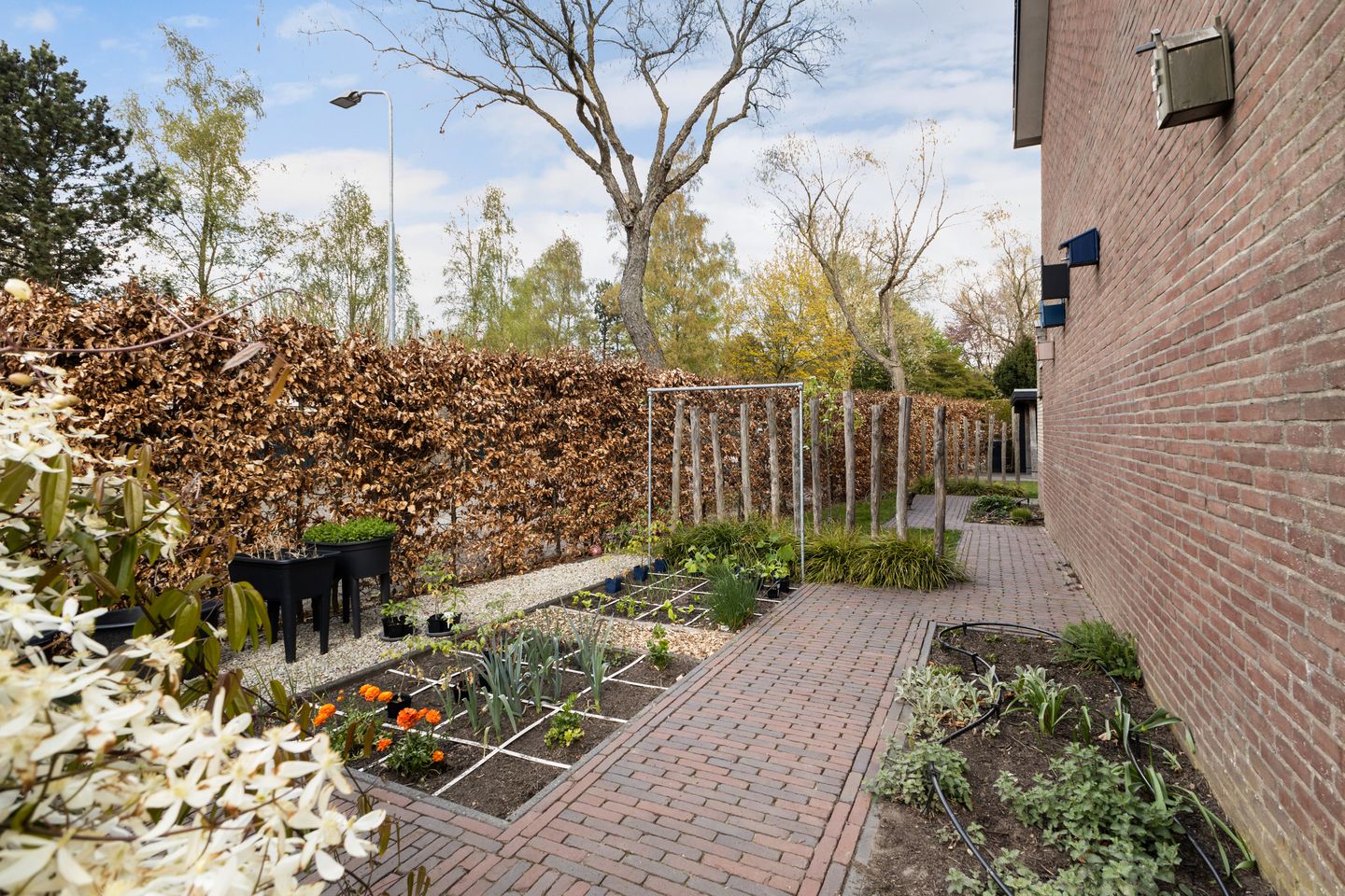 Photo 50 of Beneluxlaan 184