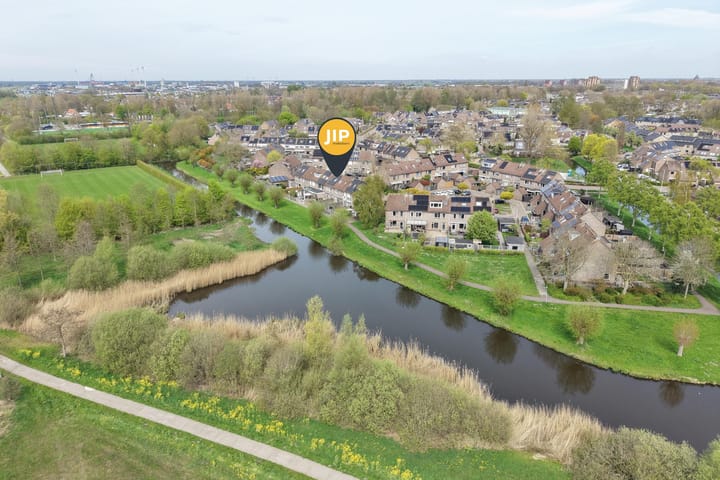 Foto 2 van Paardebloem 19