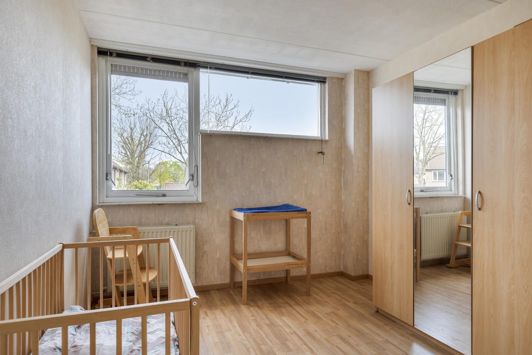 Foto 13 van Paardebloem 19