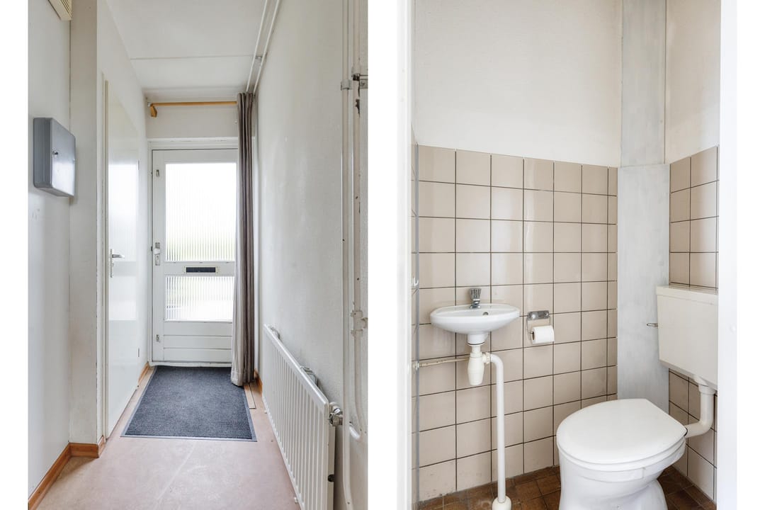 Foto 11 van Paardebloem 19