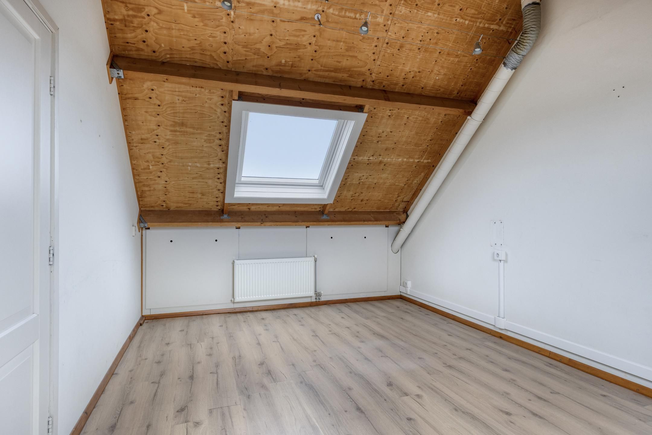 Foto 18 van Paardebloem 19