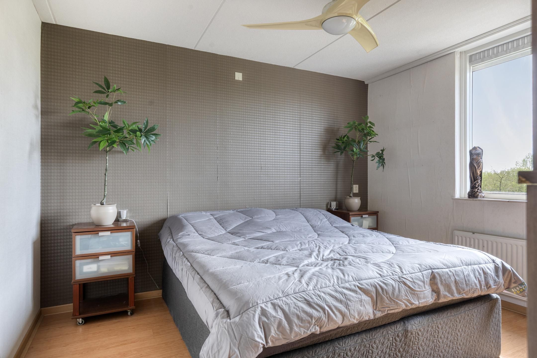 Foto 12 van Paardebloem 19