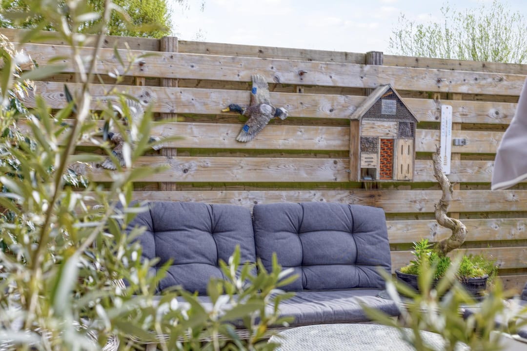 Foto 22 van Paardebloem 19