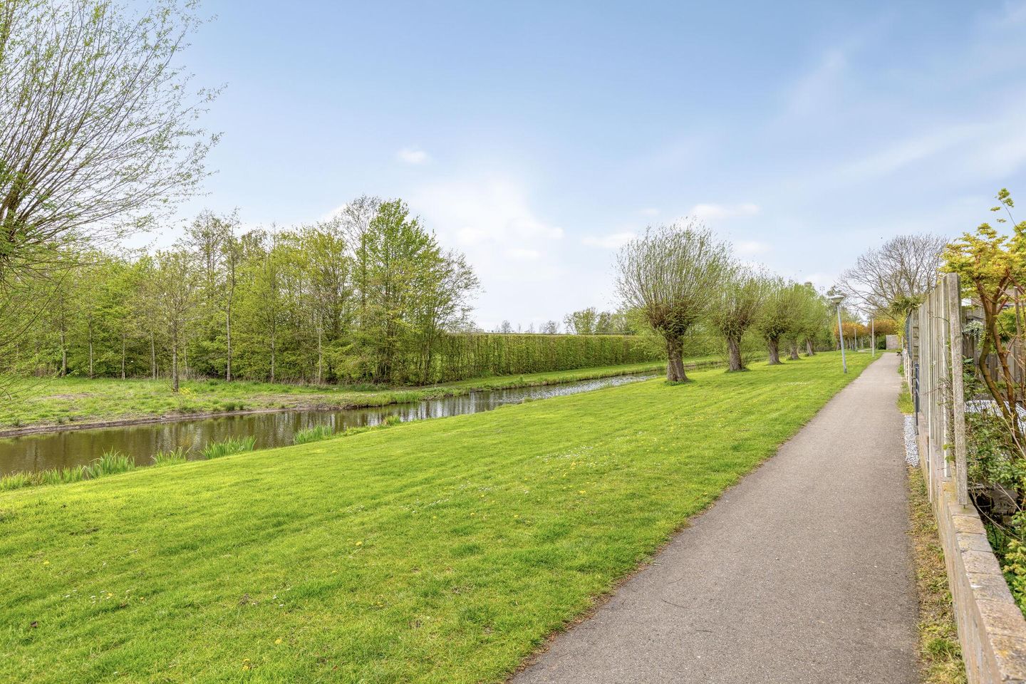 Foto 25 van Paardebloem 19