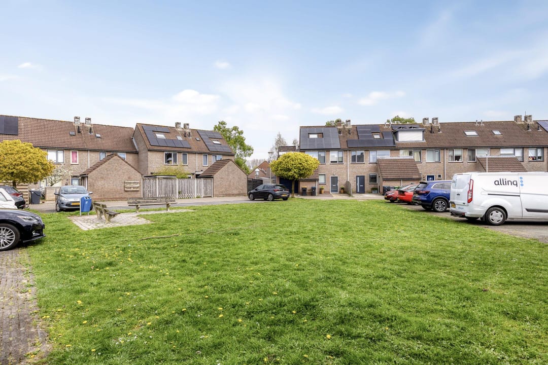 Foto 26 van Paardebloem 19