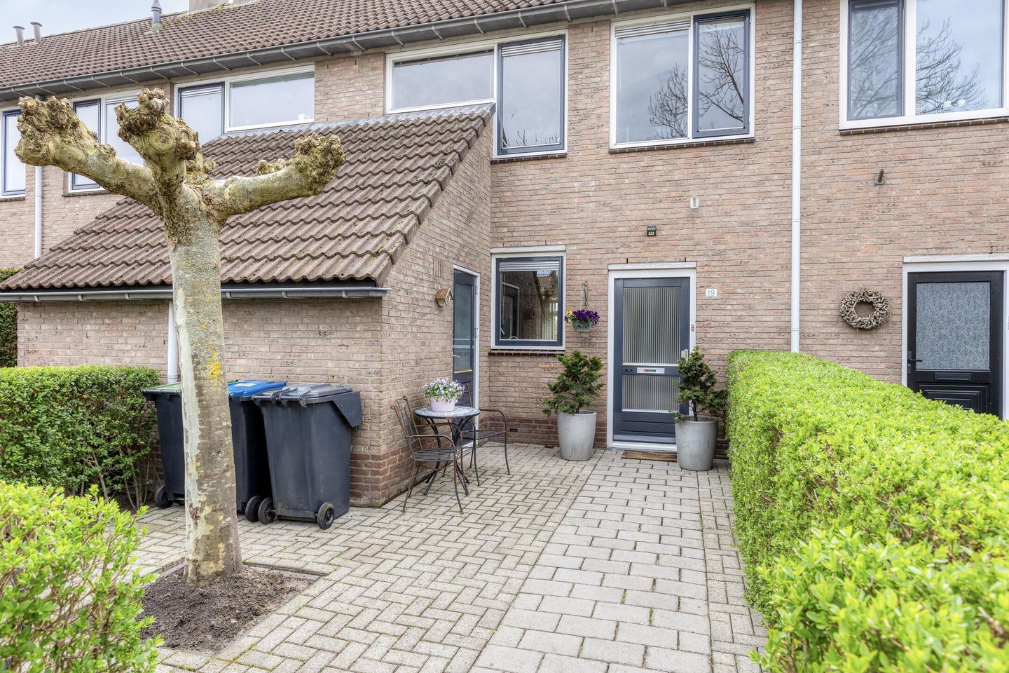 Foto 29 van Paardebloem 19