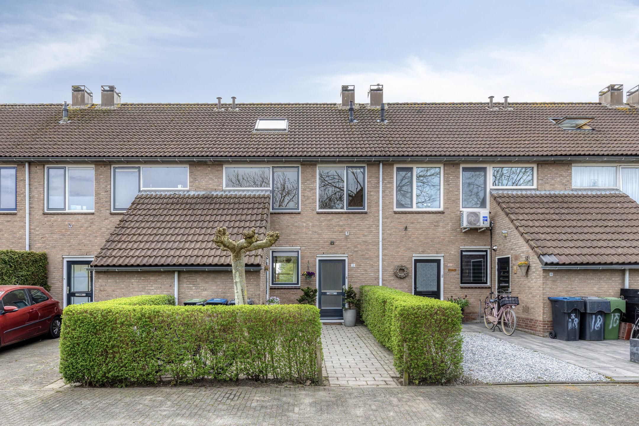 Paardebloem 19 