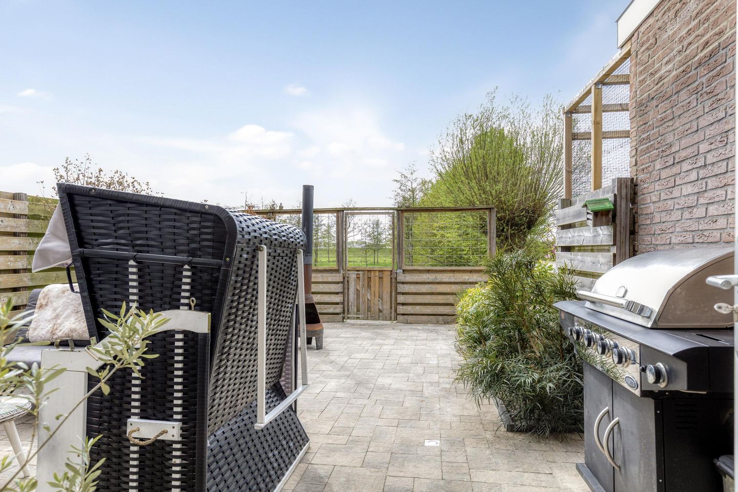 Foto 20 van Paardebloem 19