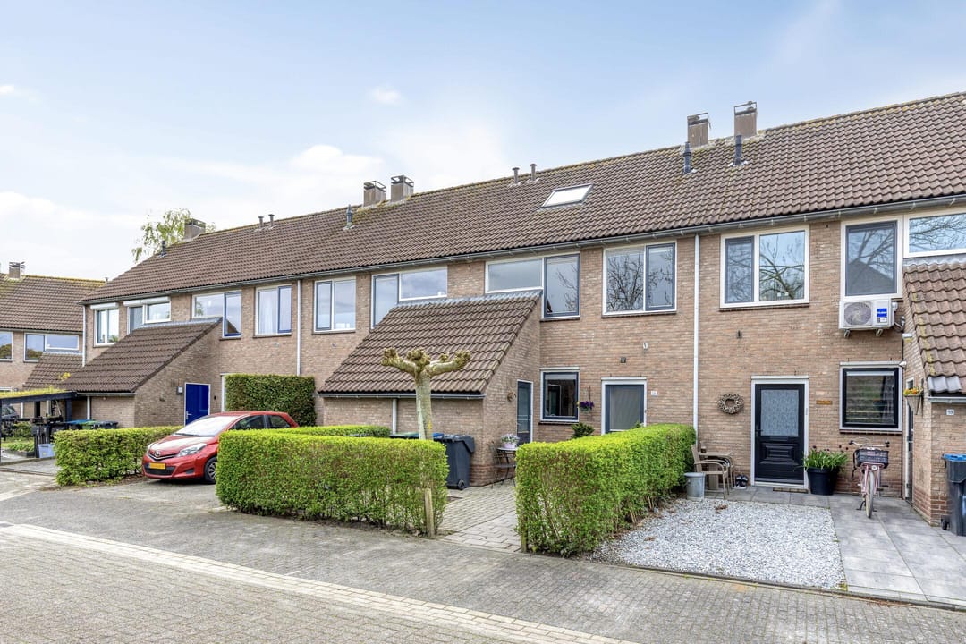 Foto 28 van Paardebloem 19