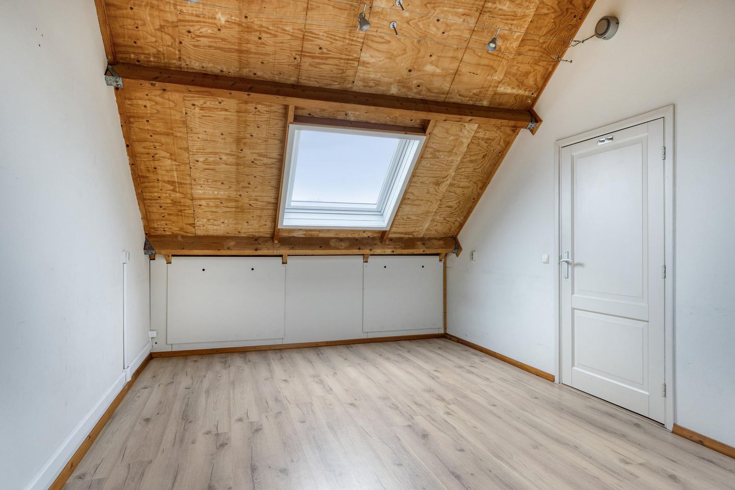 Foto 19 van Paardebloem 19