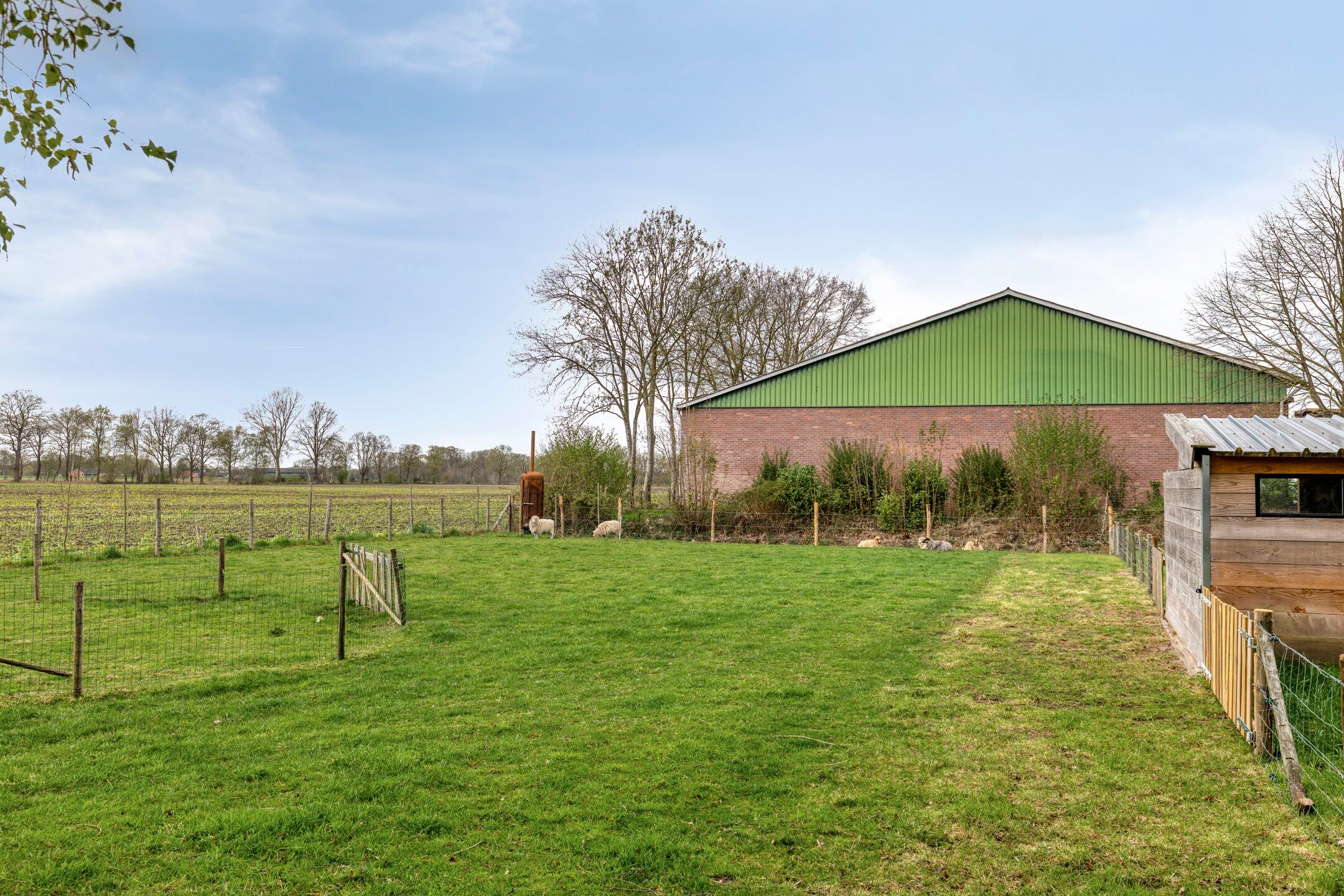 Foto 42 van Reindersweg 1