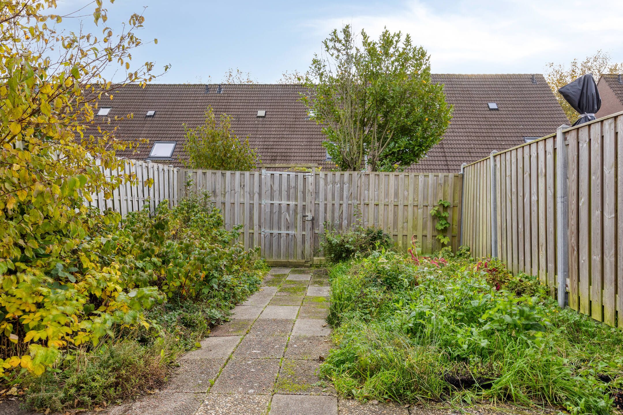 Foto 27 van Etserstraat 26