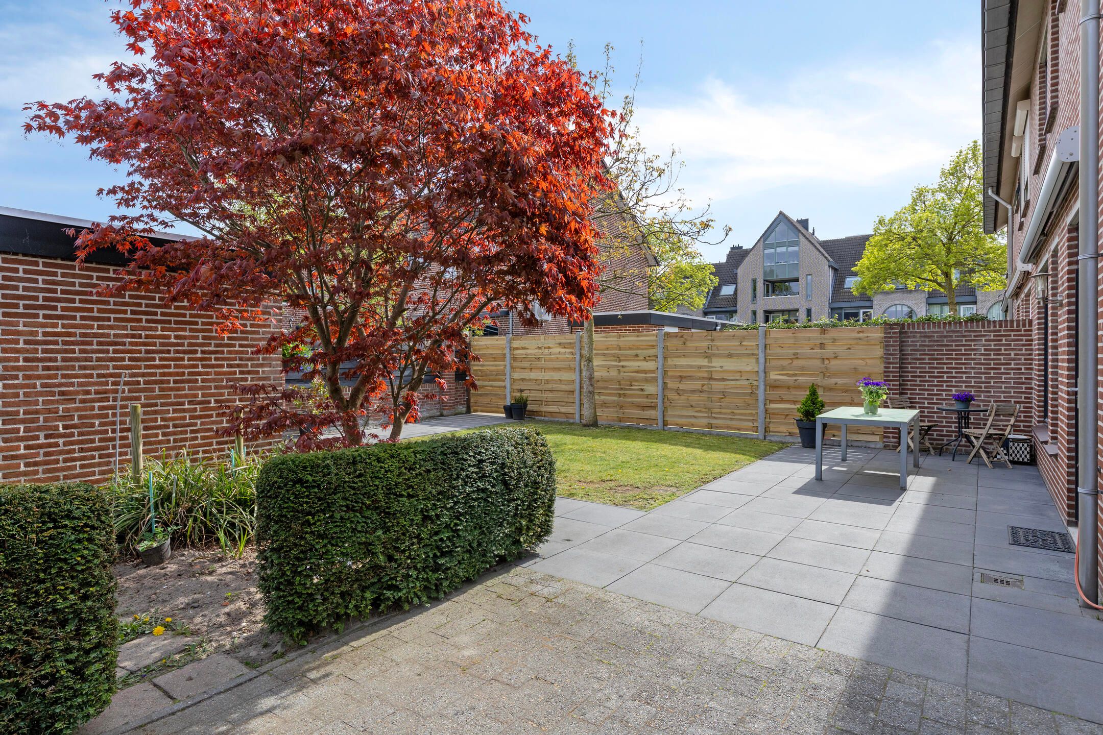 Photo 27 of het Buske 10