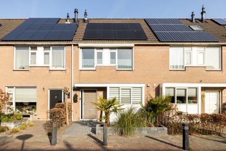 Beelstraat thumbnail