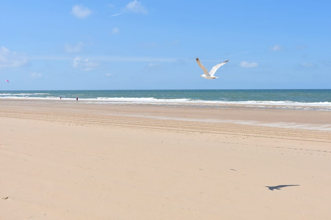 Foto 43 van Zeekant 104-E