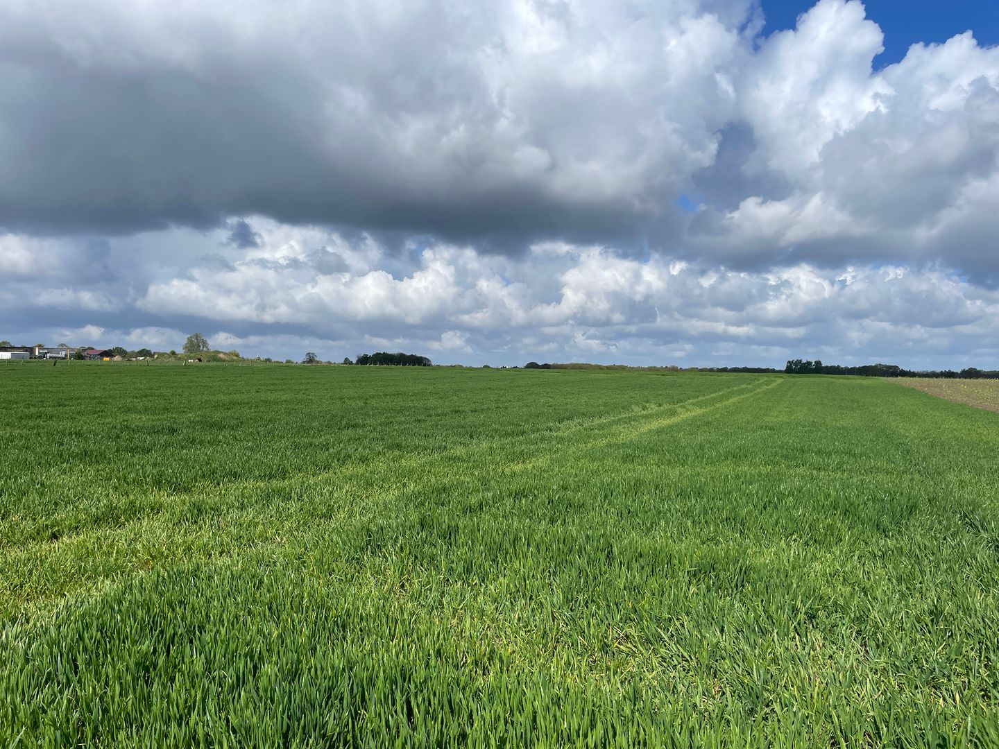 View photo 3 of Vliedweg