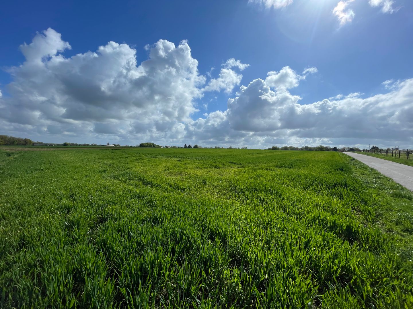 View photo 4 of Vliedweg