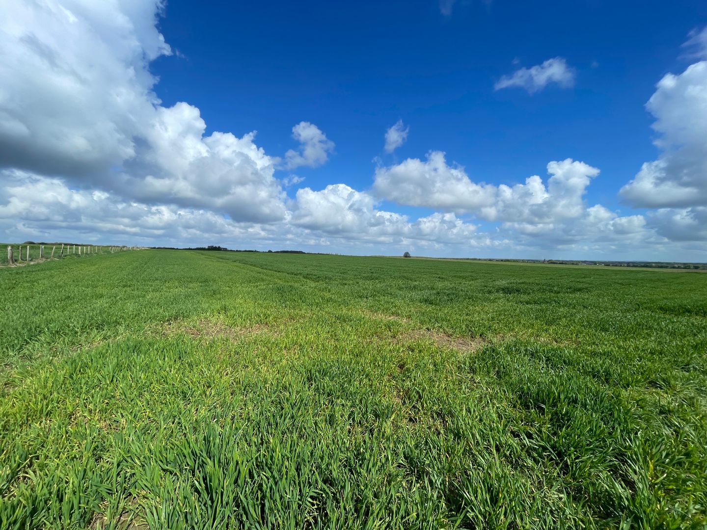 View photo 2 of Vliedweg