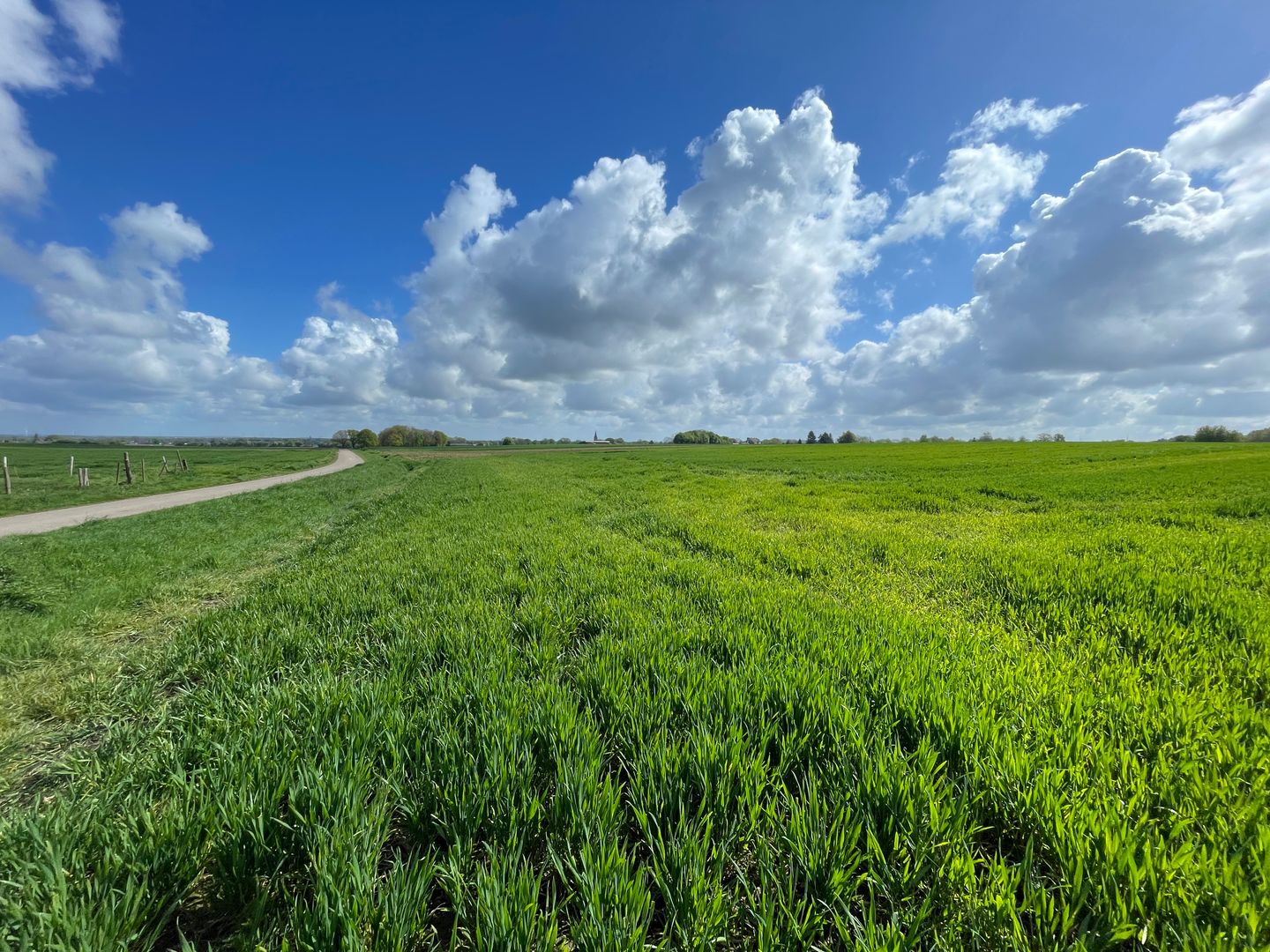 View photo 5 of Vliedweg