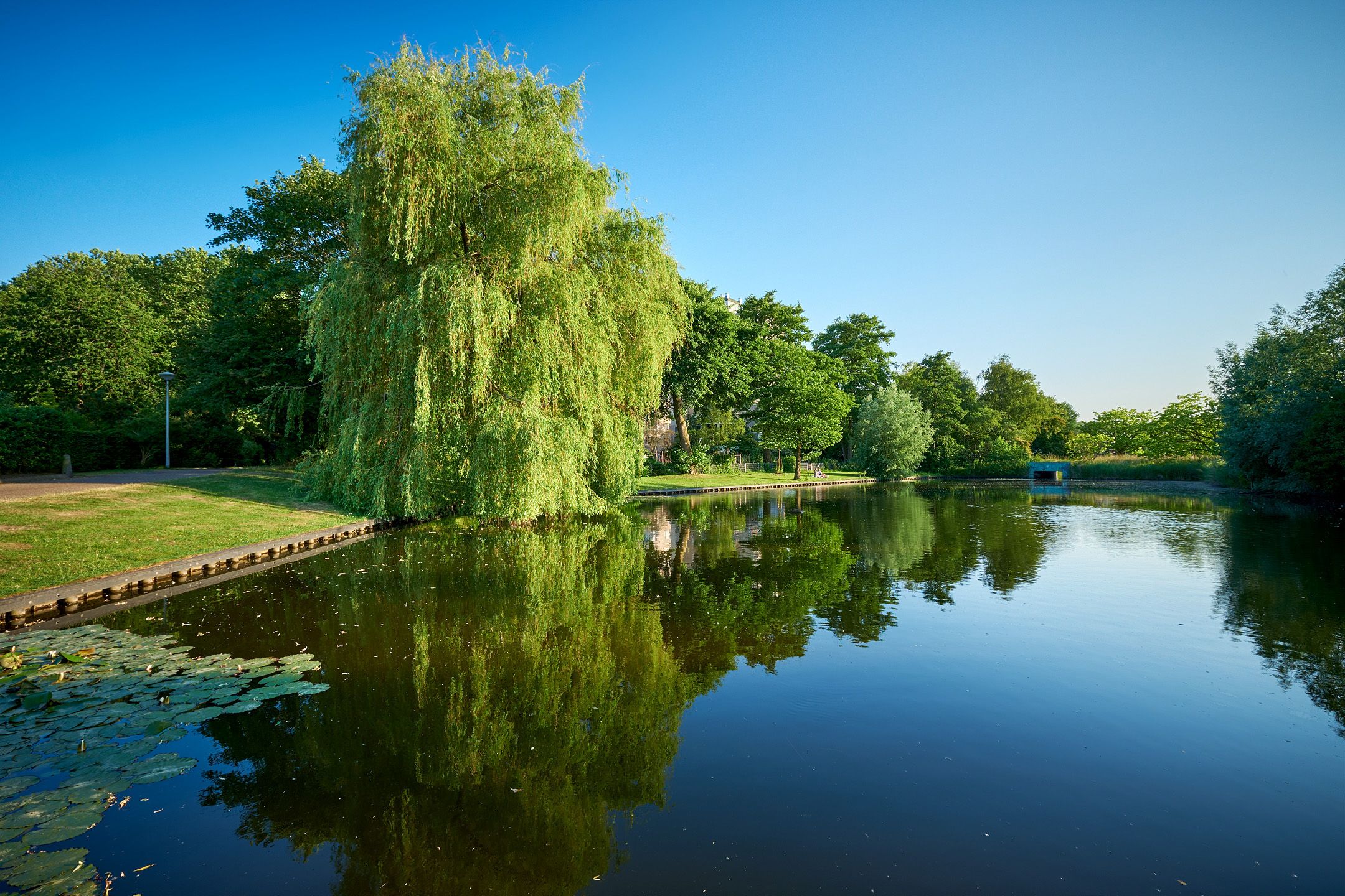 Foto 24 van Silvoldestraat 86