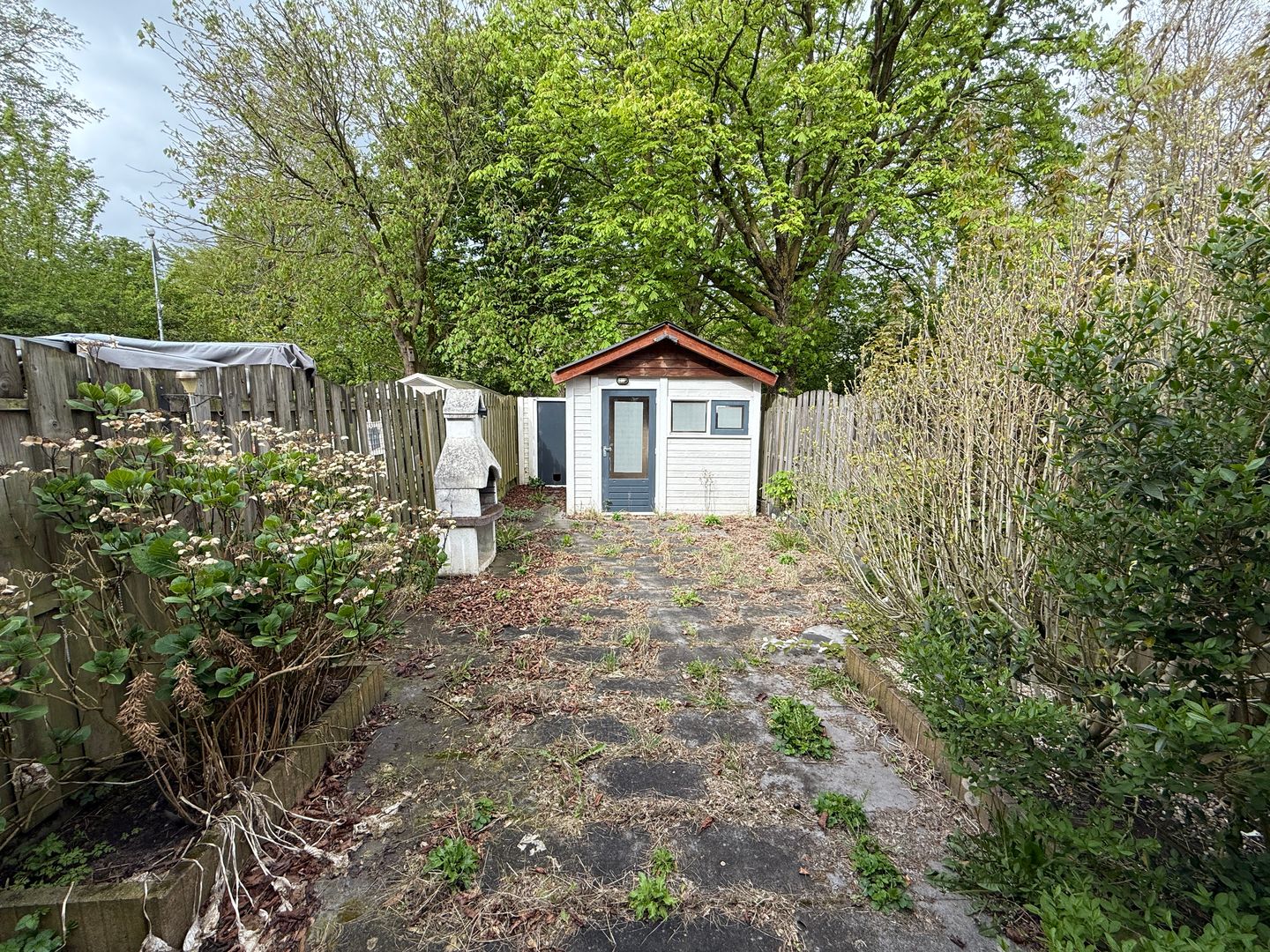 Foto 14 van Rosmolen 16