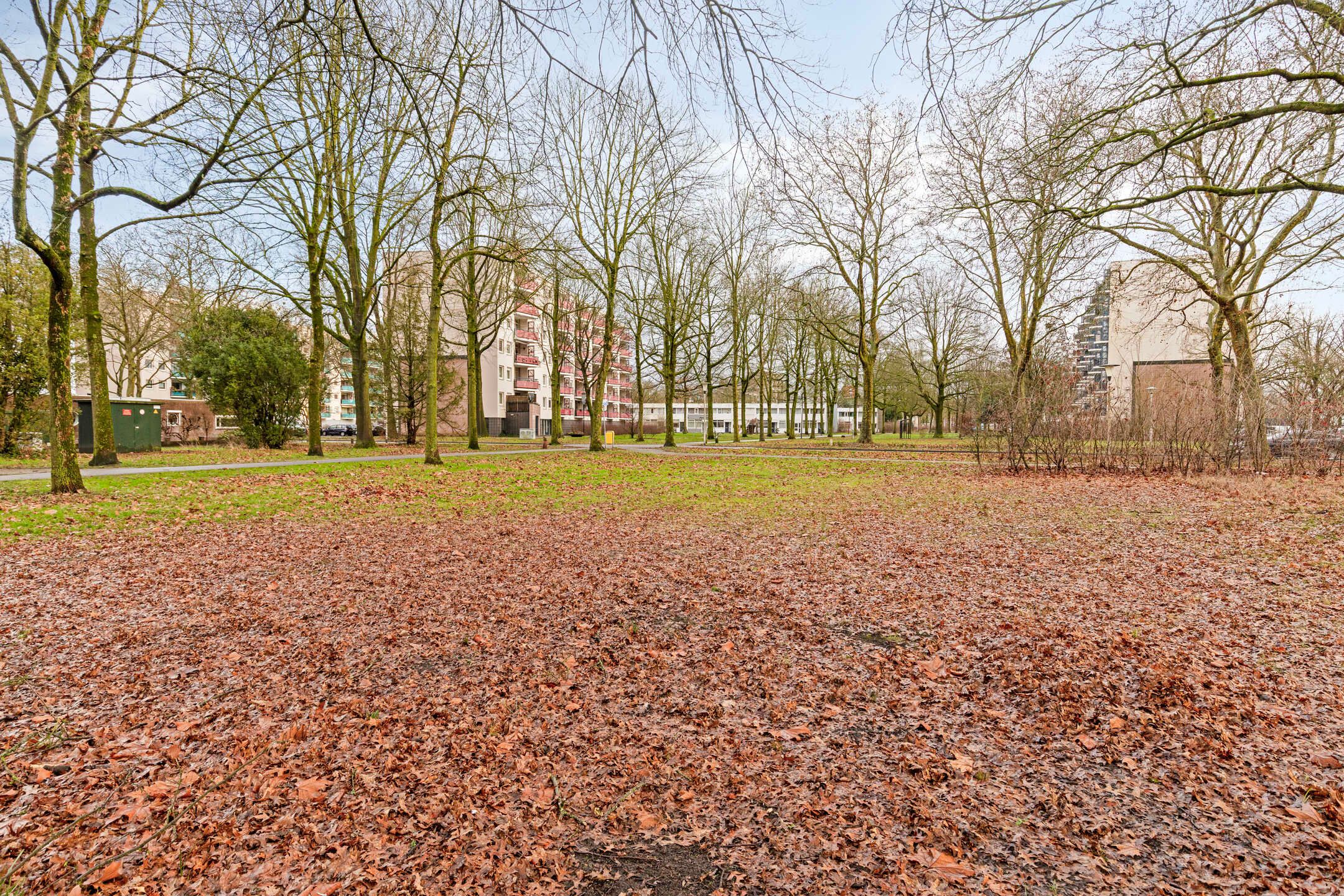 Foto 30 van Loenastraat 14