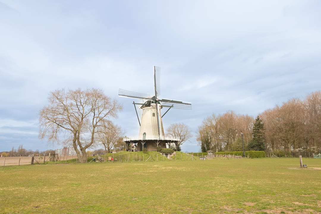 Photo 26 of van Goyenlaan 94