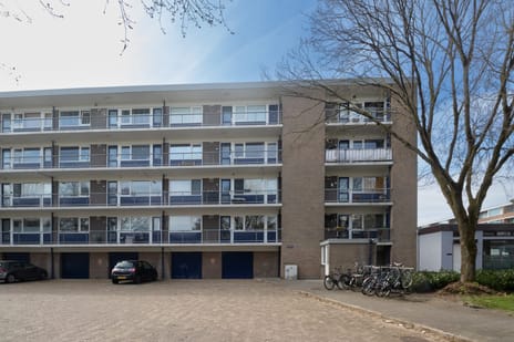 van Goyenlaan thumbnail