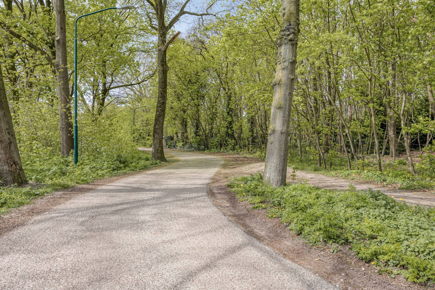 Foto 50 van Hanenspoor 9