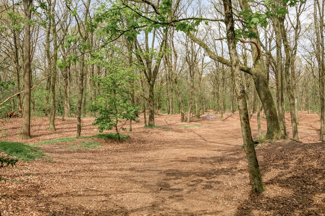 Foto 52 van Hanenspoor 9