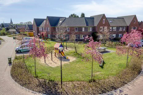 Hanenspoor thumbnail