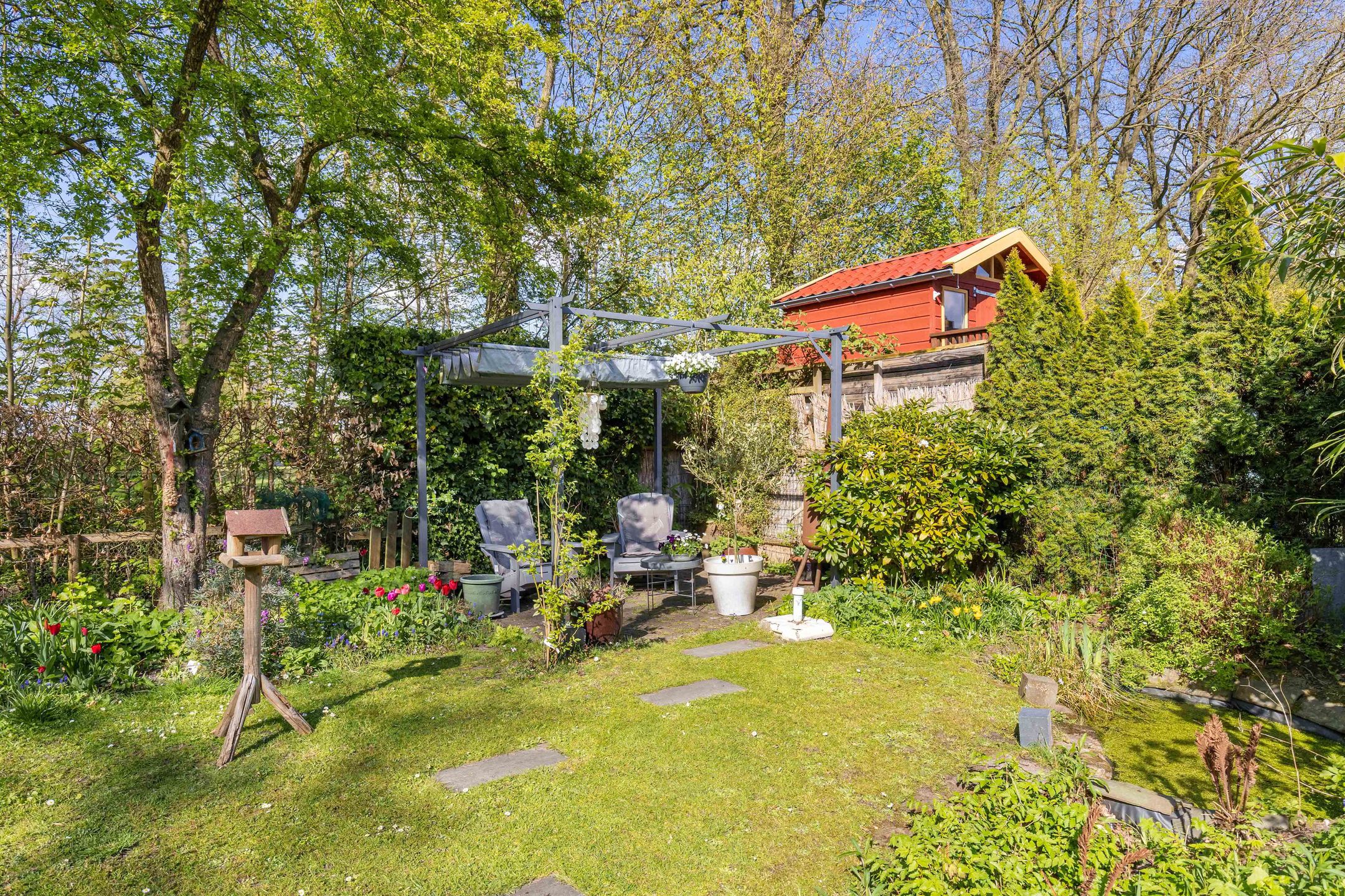 Foto 39 van Hazzeleger 11