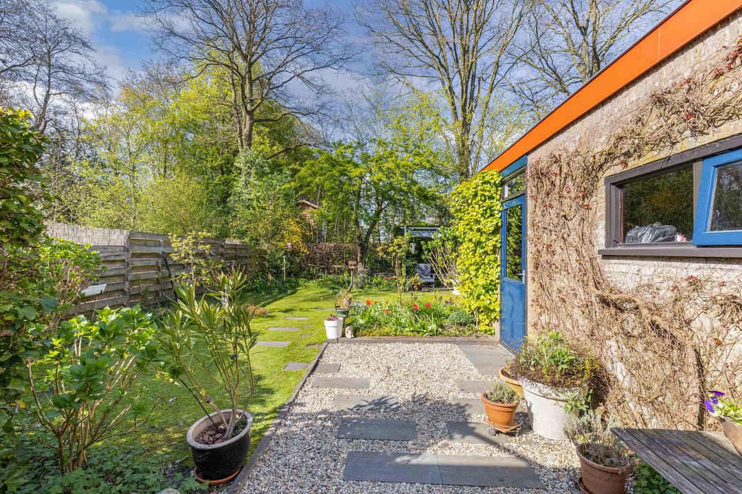 Foto 37 van Hazzeleger 11