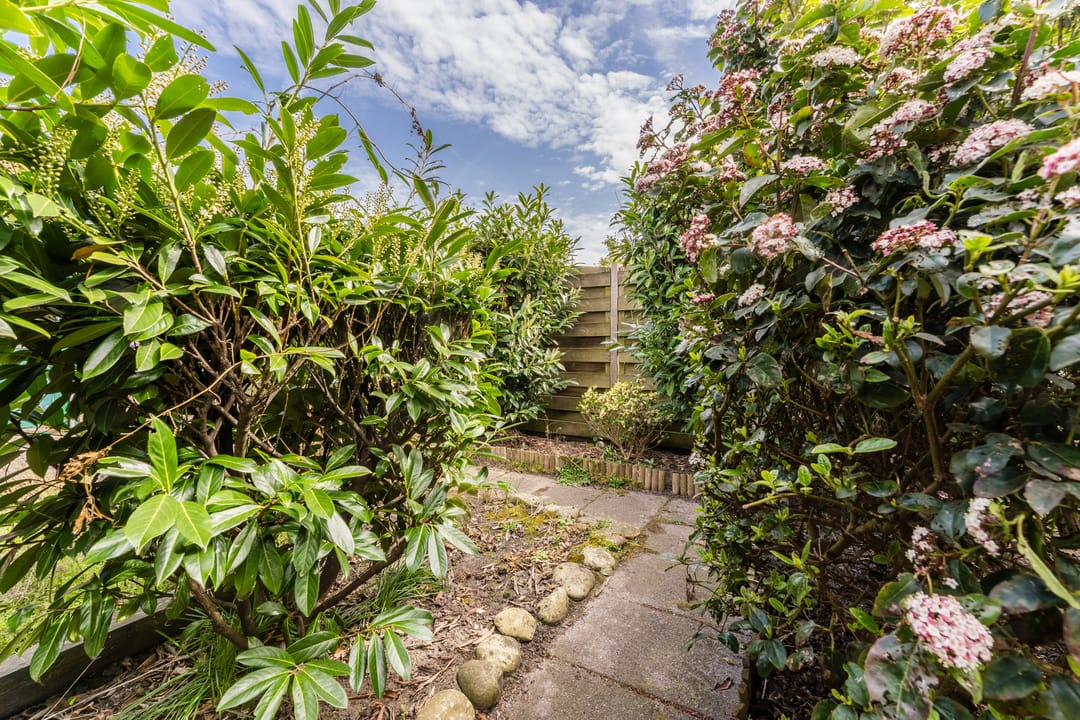 Foto 31 van Zeggehof 22