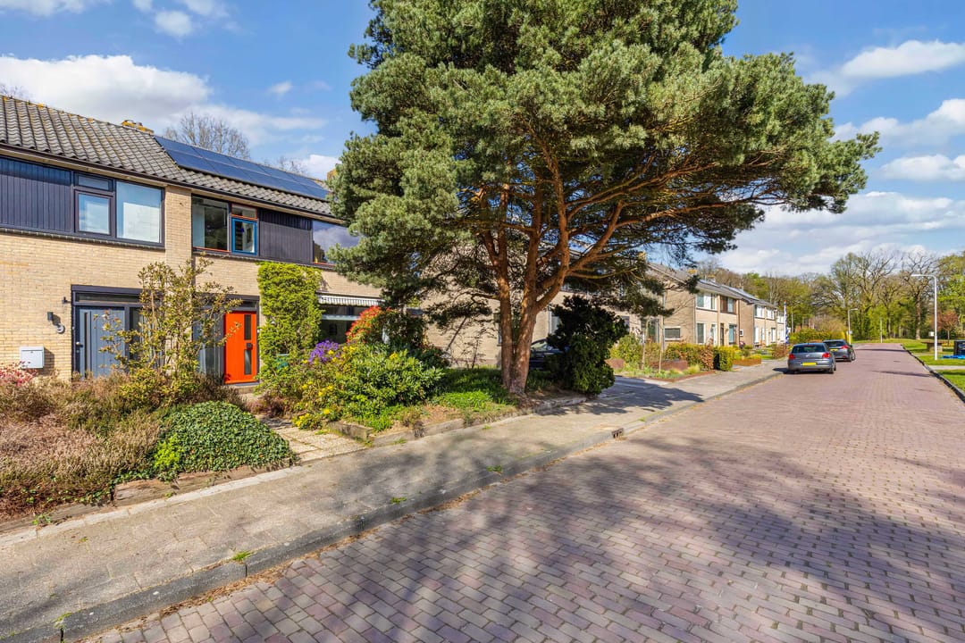 Foto 46 van Hazzeleger 11