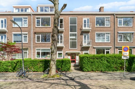 Cornelis Suyslaan thumbnail