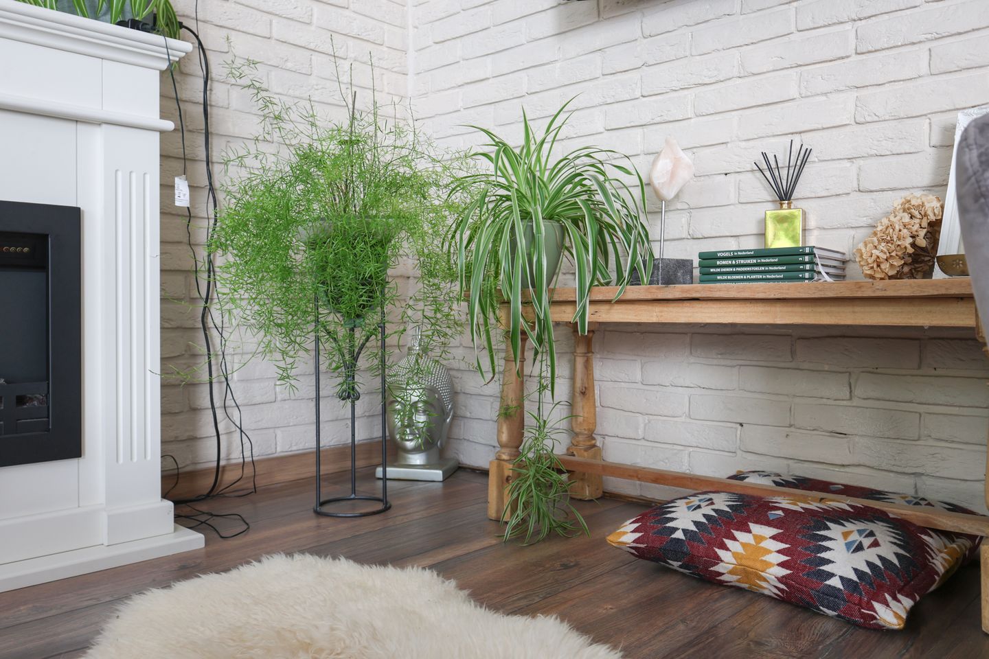 Photo 10 of De Thun 56