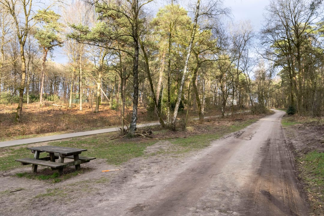 Foto 43 van Brigadelaan 87