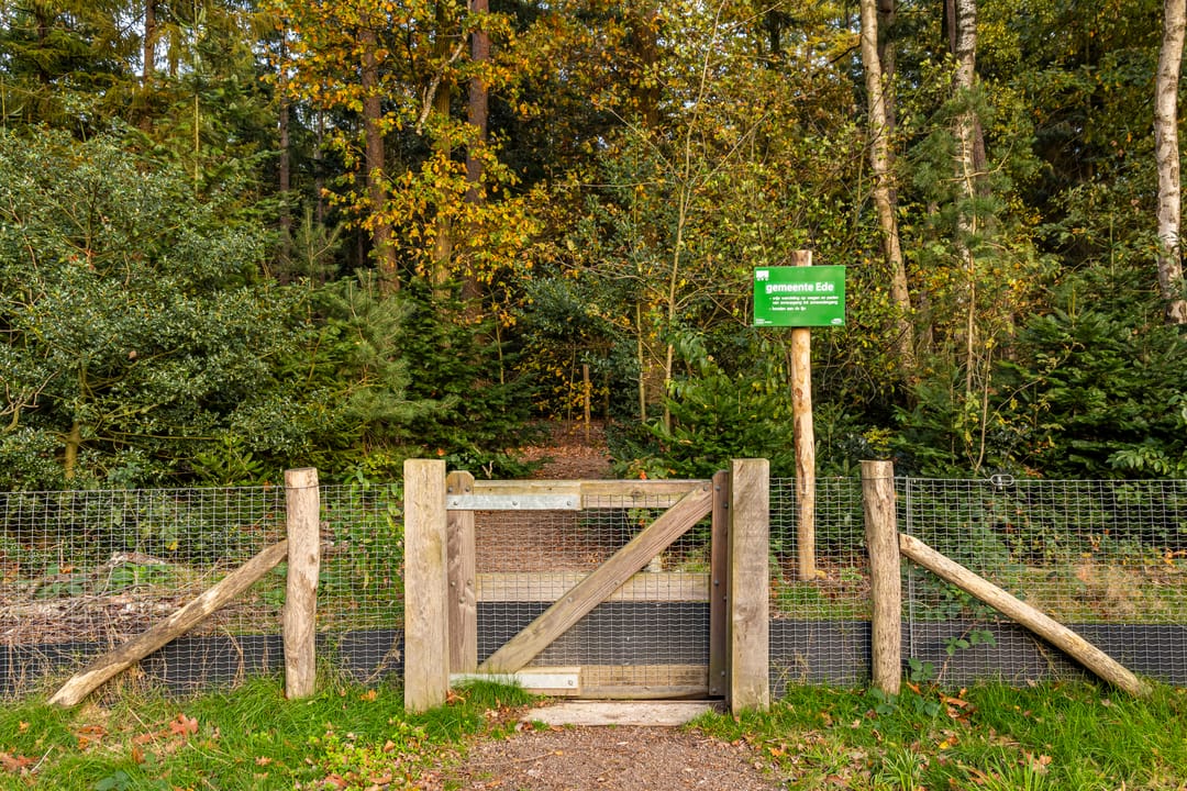 Foto 41 van Brigadelaan 87