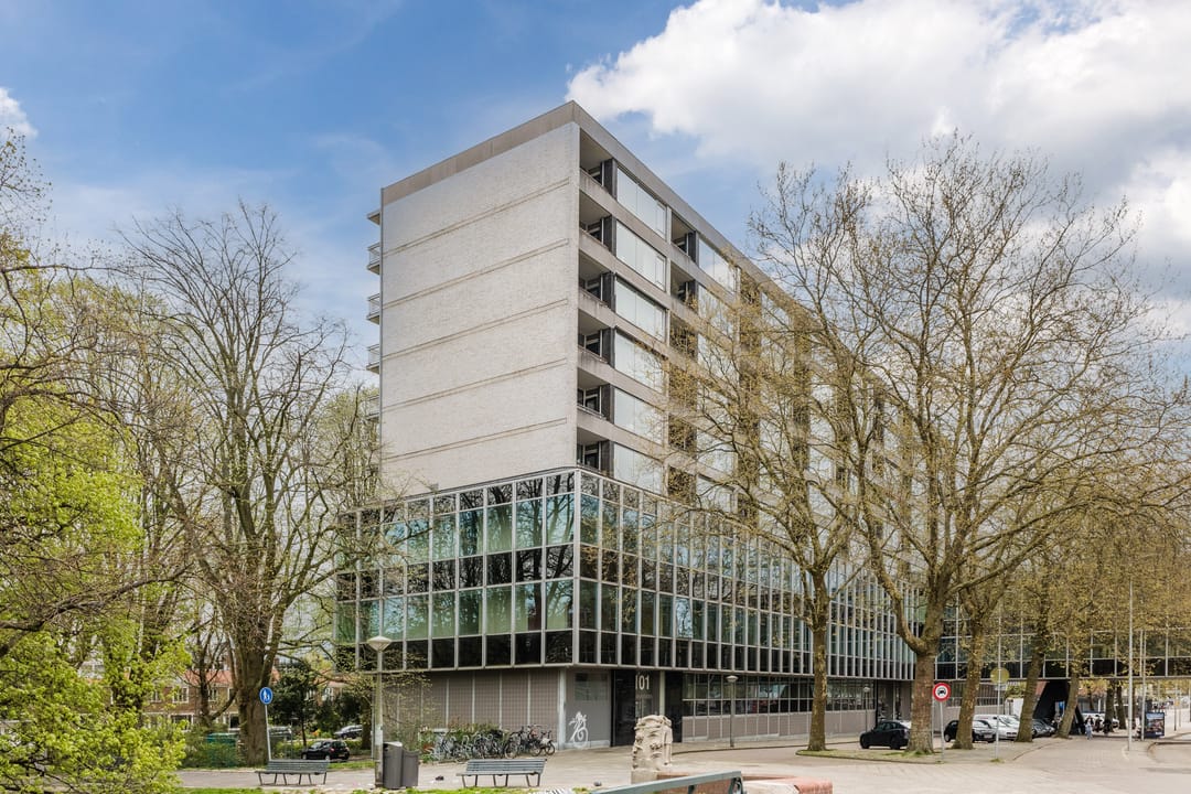 Foto 28 van Parnassusweg 121