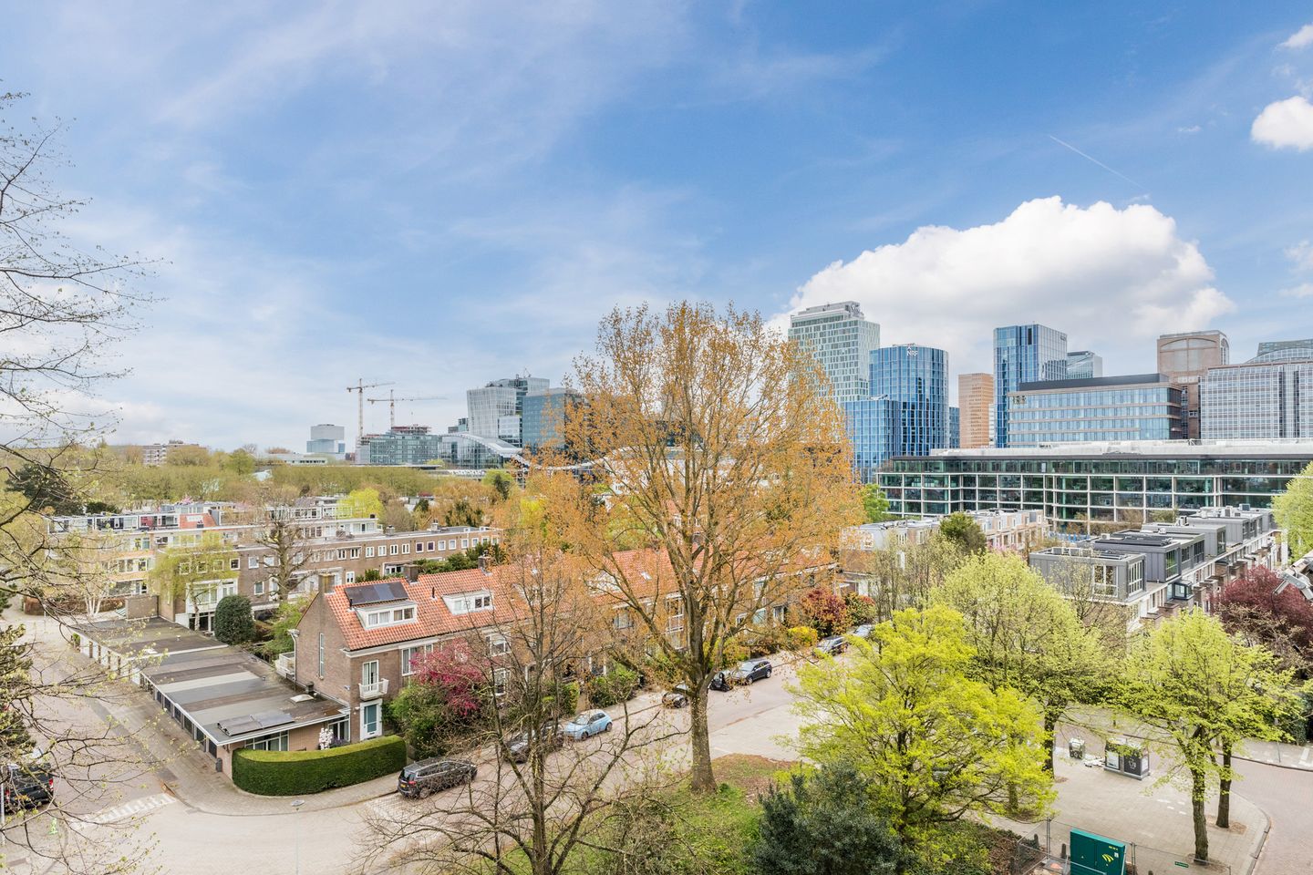 Foto 35 van Parnassusweg 121