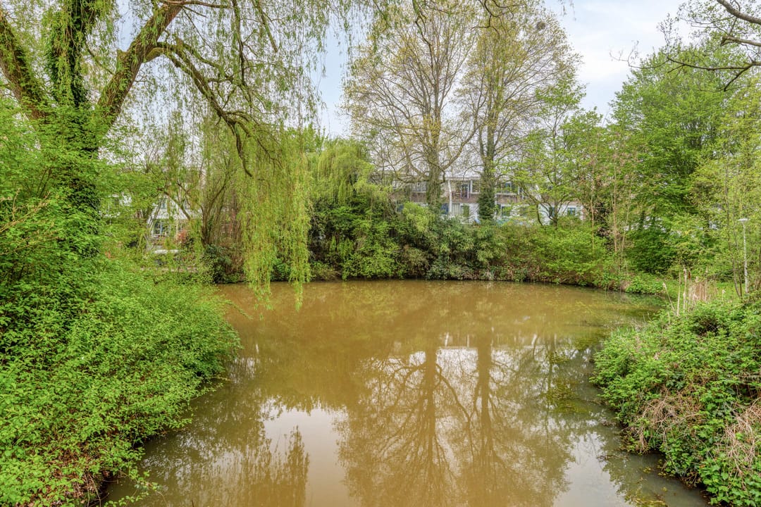 Foto 2 van Sterkenburg 400