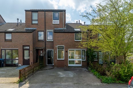 undefined main image