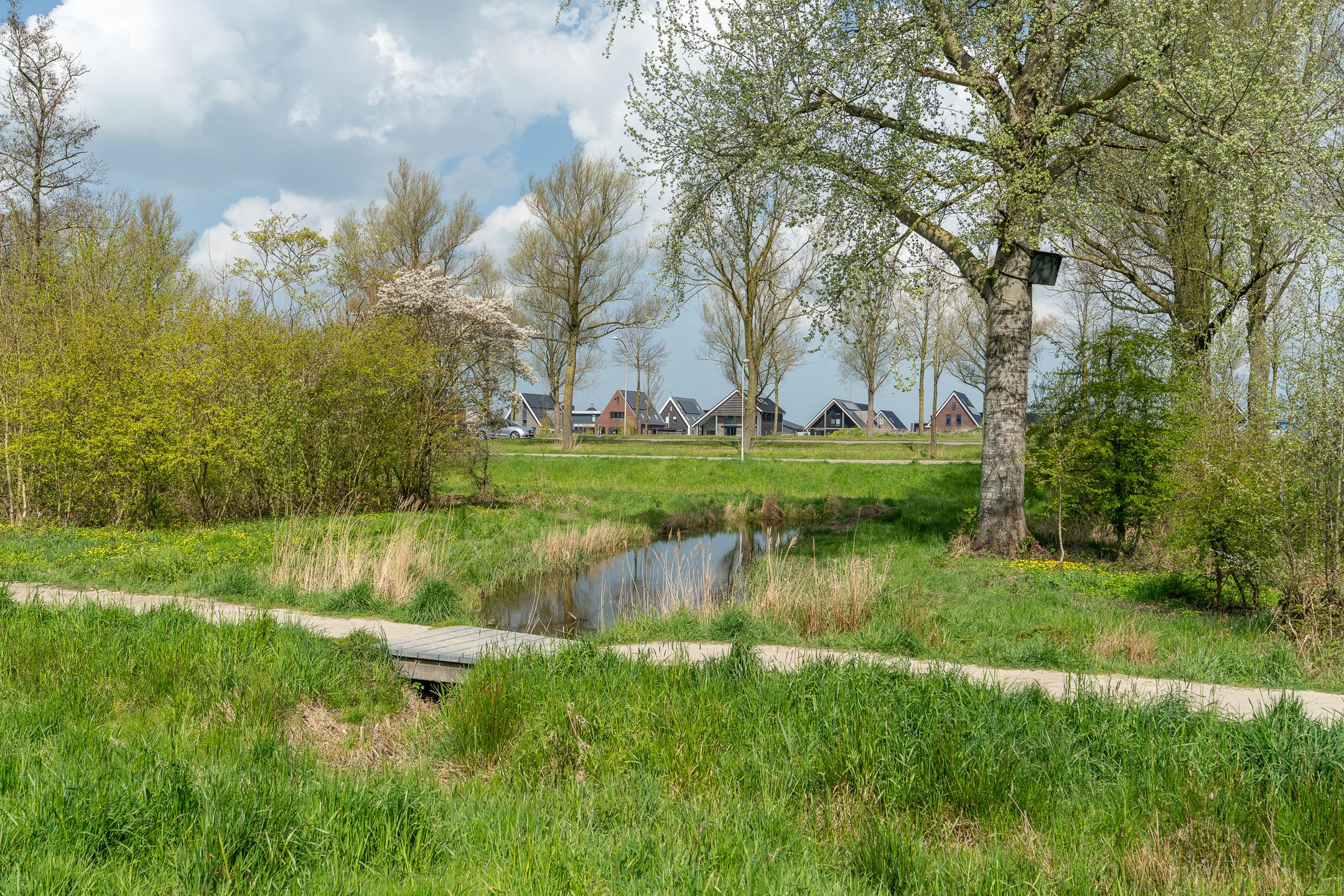 Foto 36 van Dotingastate 54