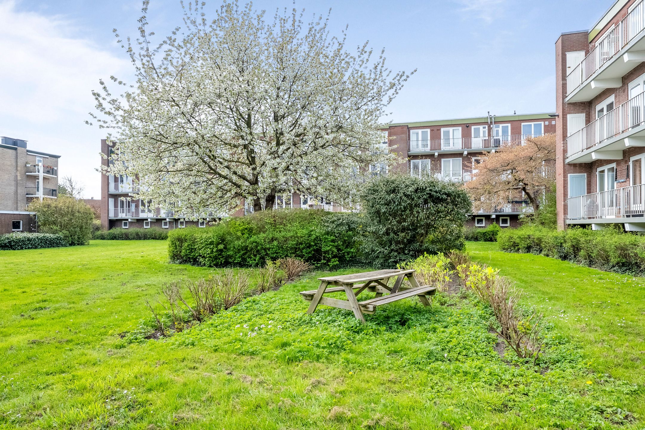 Foto 33 van Delftlaan 353-I