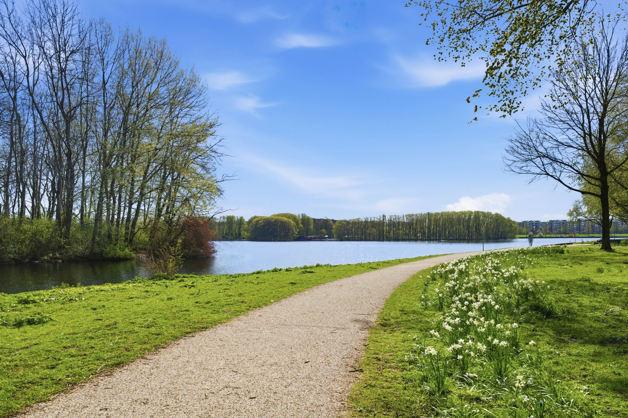 Foto 18 van Vrijzicht 27