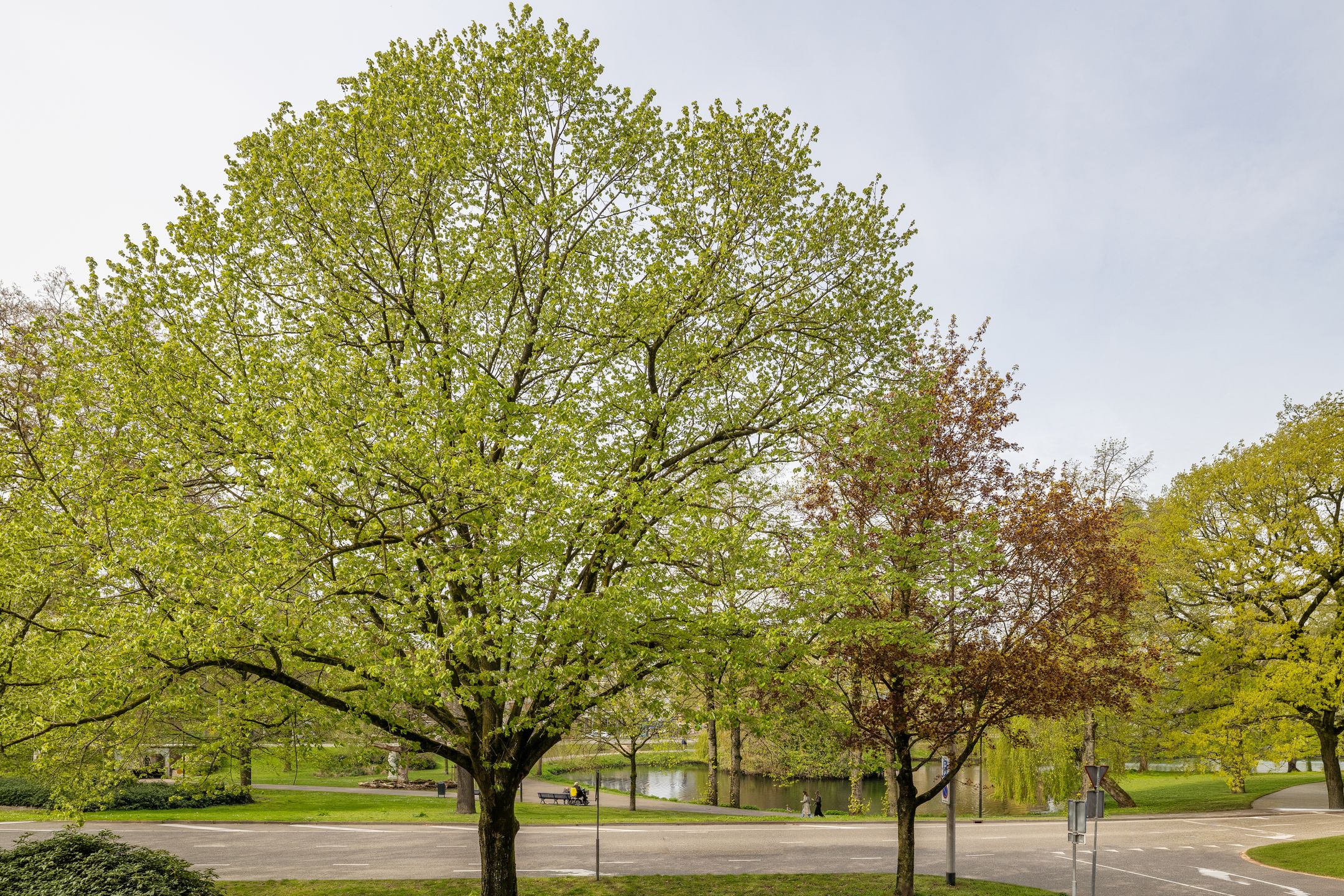 Foto 30 van Eusebiusbuitensingel 20-7