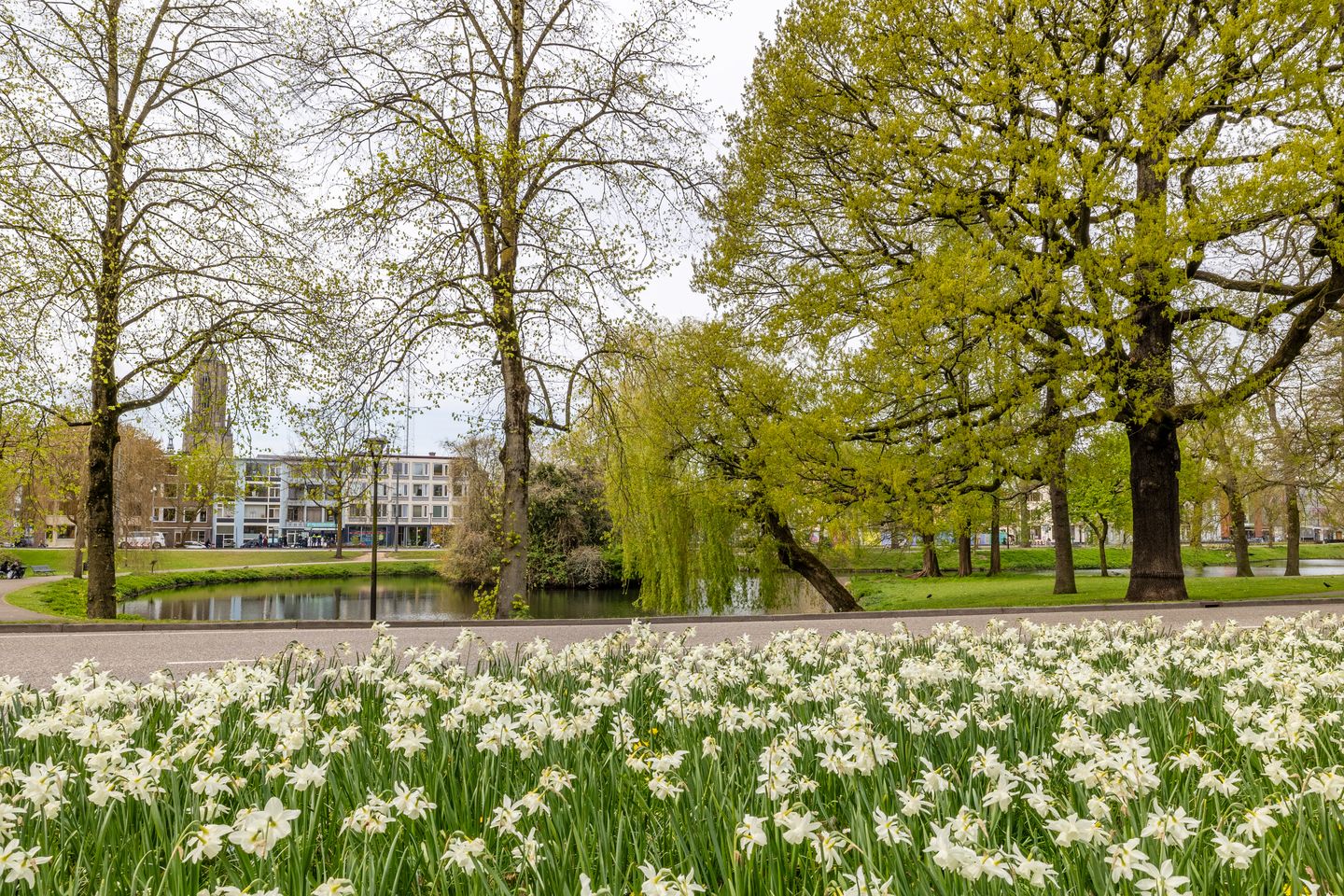 Foto 5 van Eusebiusbuitensingel 20-7