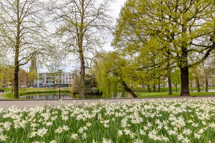 Foto 5 van Eusebiusbuitensingel 20-7